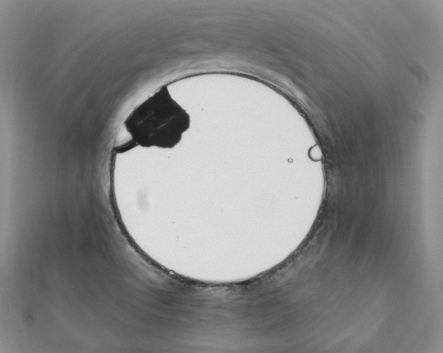 X0000111351512200908211223