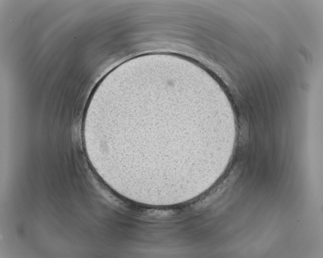 X0000111351513200908211223