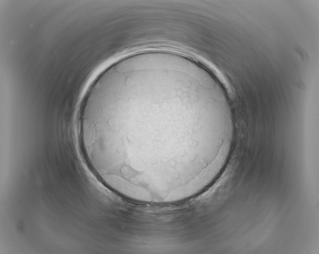 X0000111351514200908211223