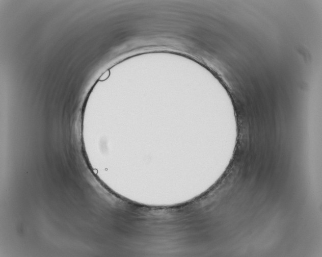 X0000111351516200908211224