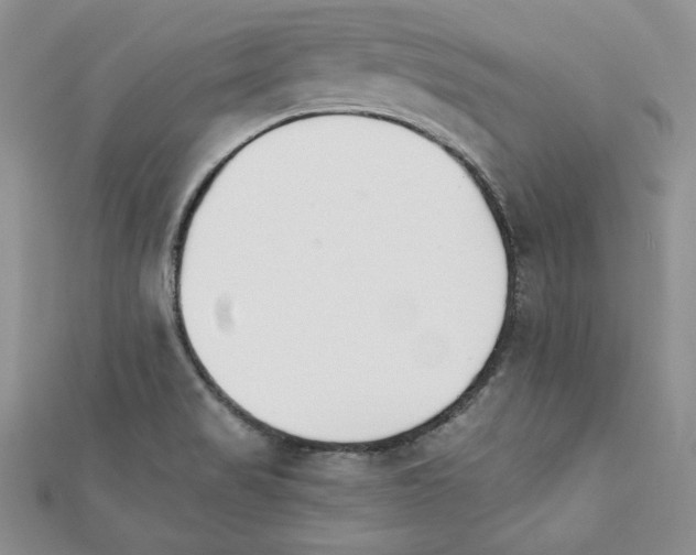 X0000111351517200908211224