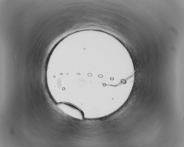 X0000111351518200908211224