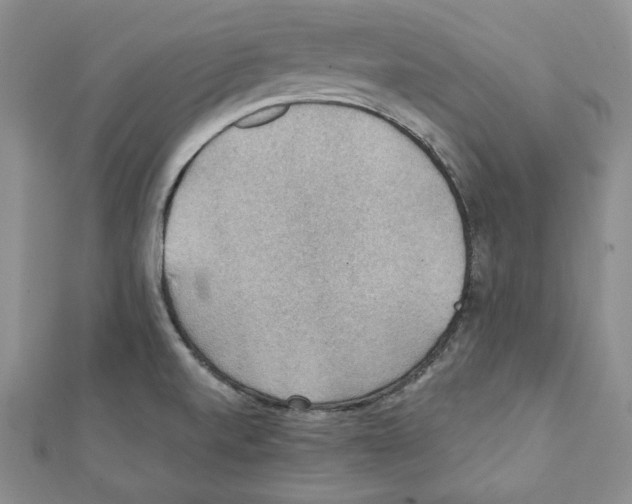 X0000111351520200908211224