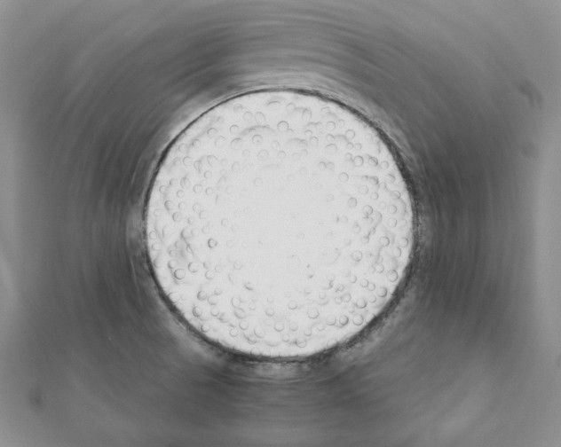 X0000111351521200908211224