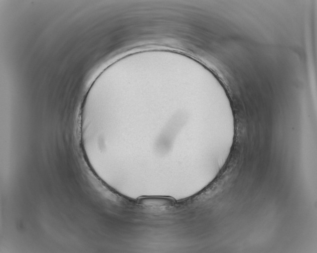 X0000111351524200908211224