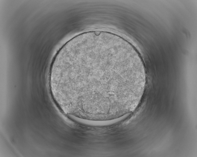 X0000111351525200908211224