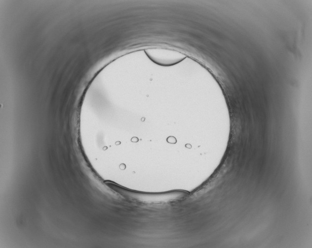 X0000111351526200908211224