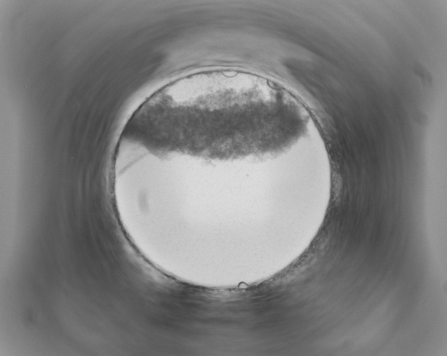 X0000111351527200908211224
