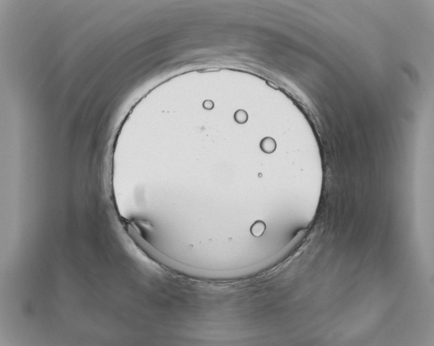 X0000111351528200908211224
