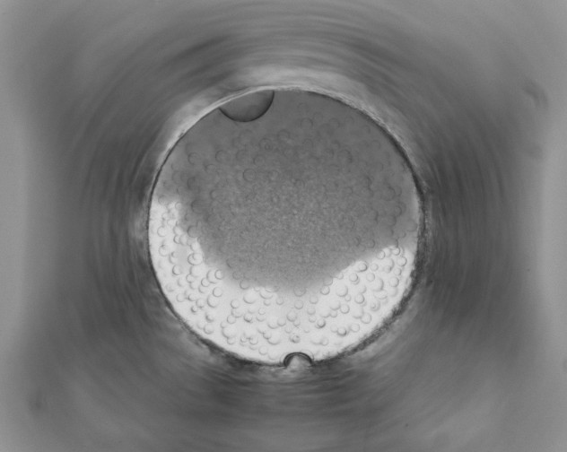 X0000111351529200908211224