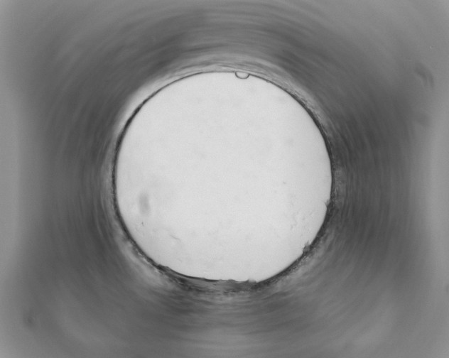 X0000111351530200908211224