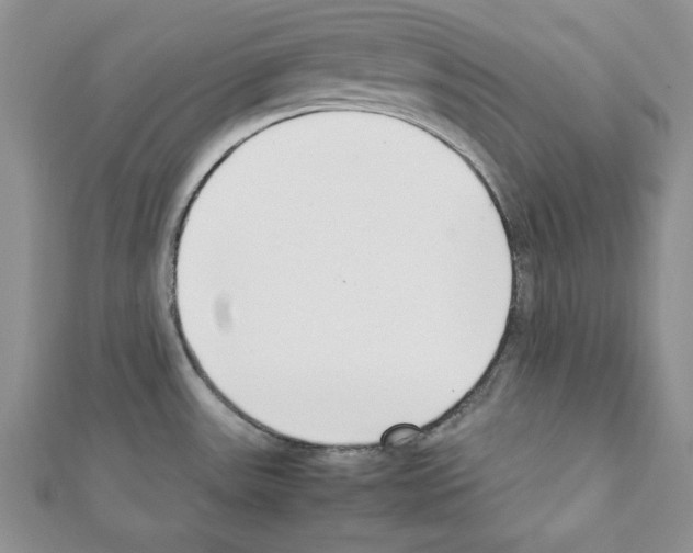 X0000111351531200908211224