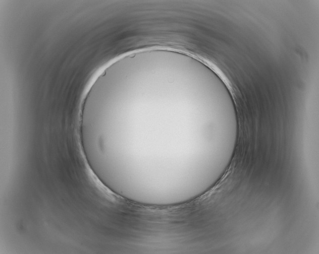 X0000111351532200908211224