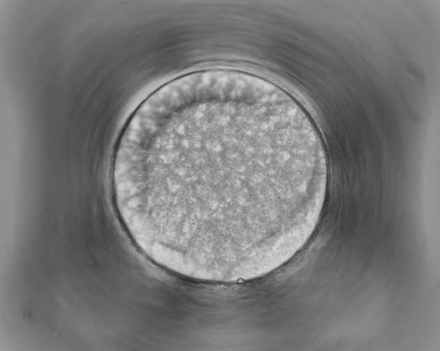 X0000111351533200908211224