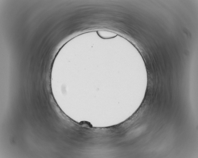 X0000111351534200908211224