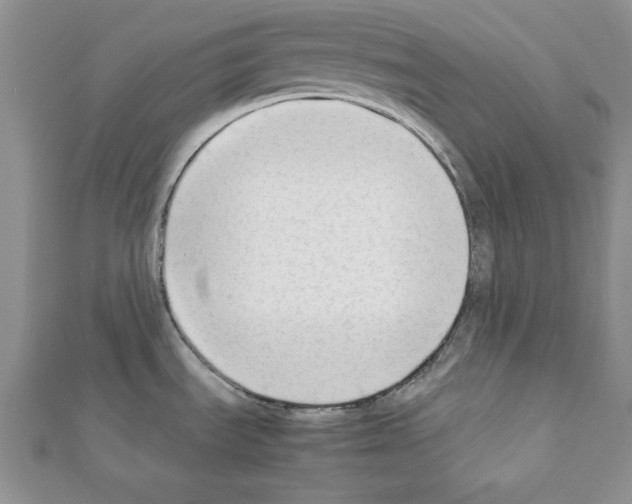 X0000111351535200908211224