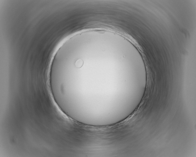 X0000111351536200908211224