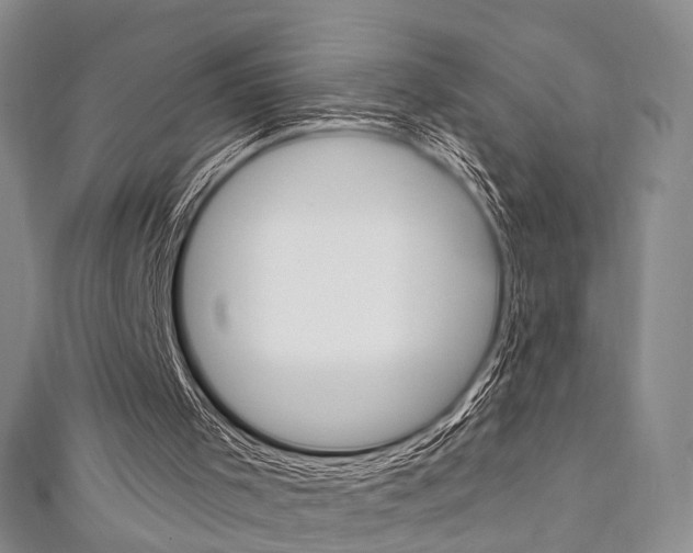 X0000111360001200907101006
