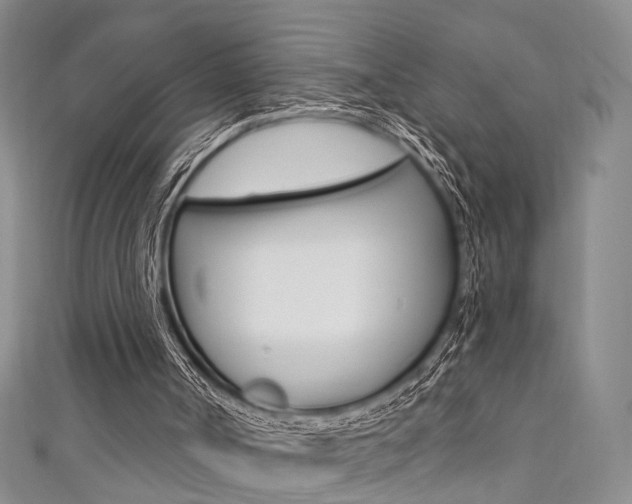 X0000111360002200907101006