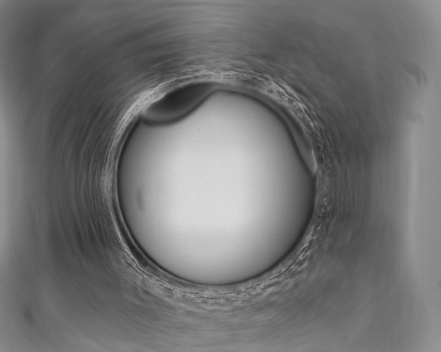 X0000111360003200907101006