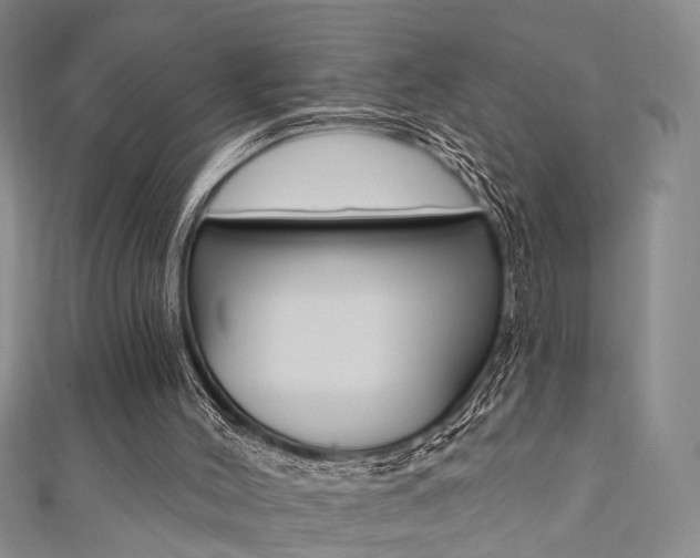X0000111360004200907101006