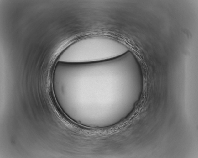 X0000111360005200907101006