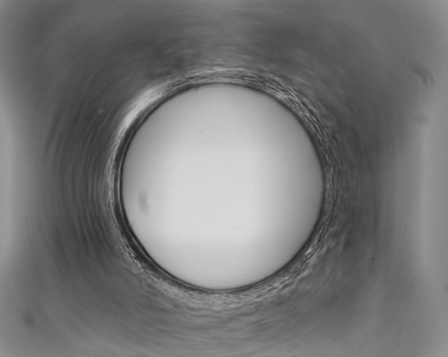 X0000111360006200907101006