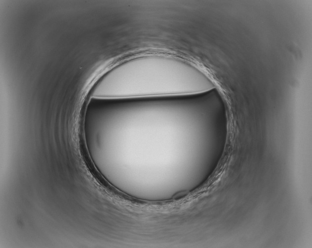 X0000111360007200907101006