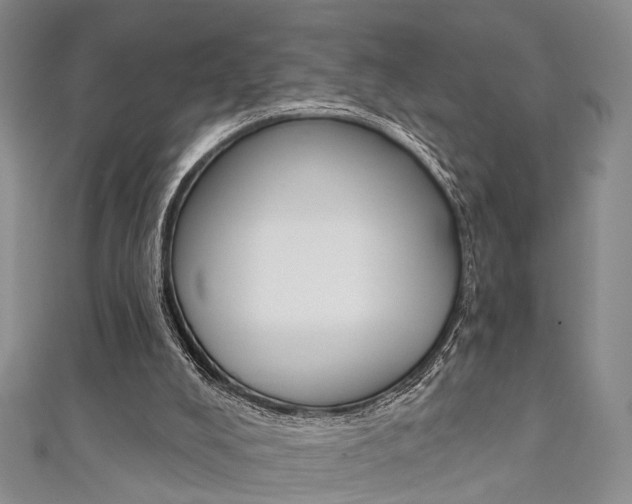 X0000111360008200907101006