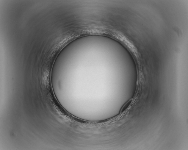 X0000111360009200907101006