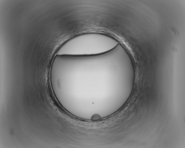 X0000111360010200907101006
