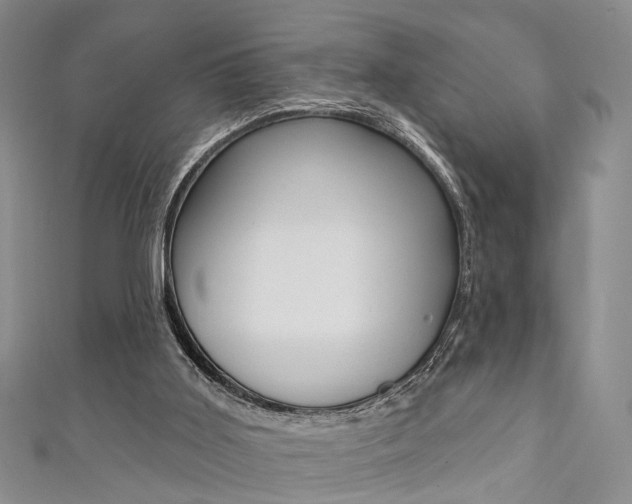X0000111360011200907101006