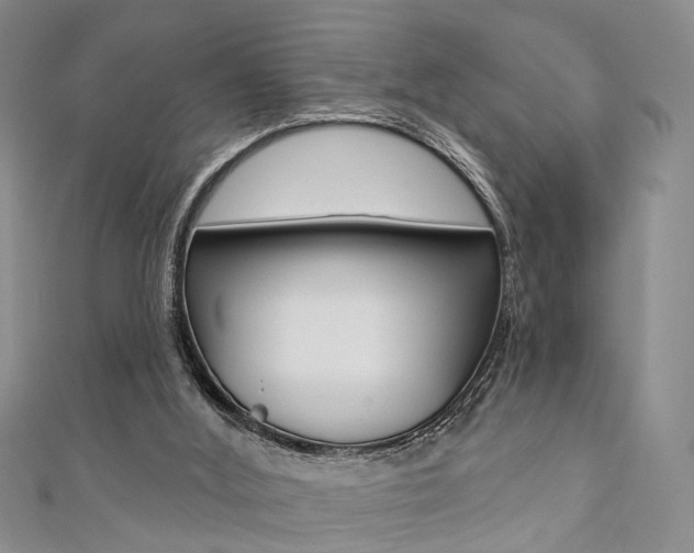 X0000111360012200907101006