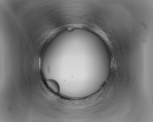 X0000111360013200907101006