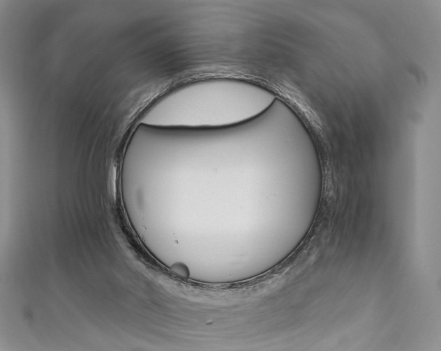 X0000111360014200907101006
