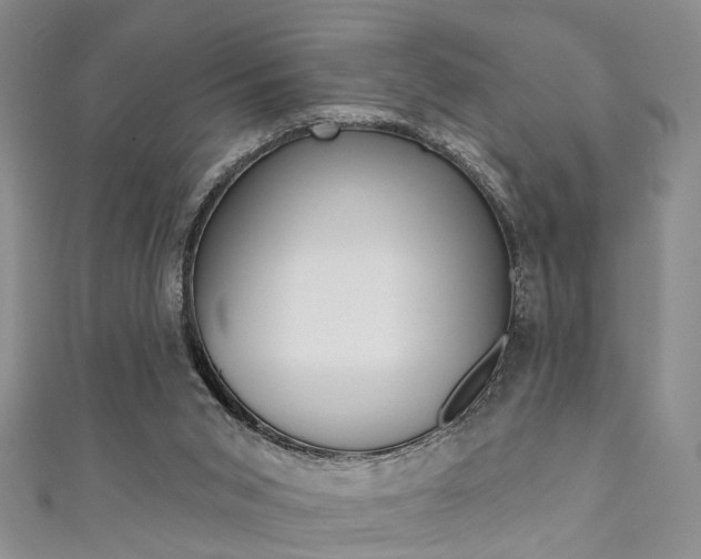 X0000111360015200907101006