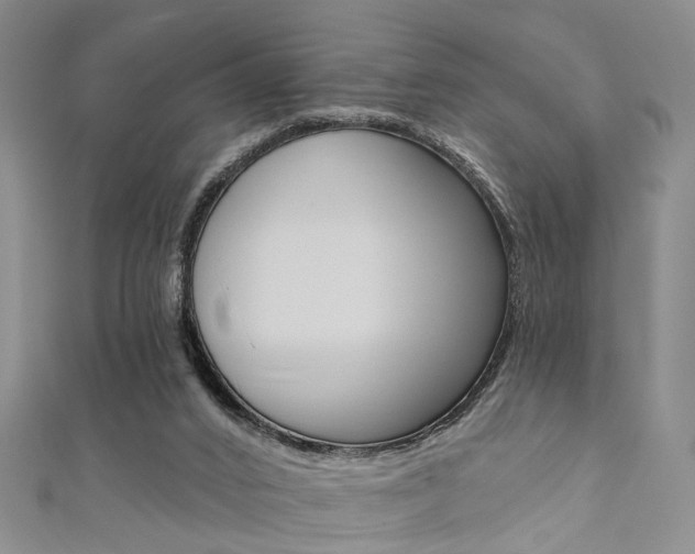 X0000111360016200907101006