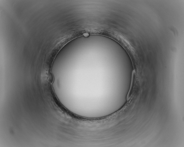 X0000111360017200907101006