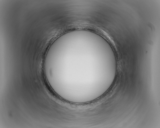 X0000111360018200907101006