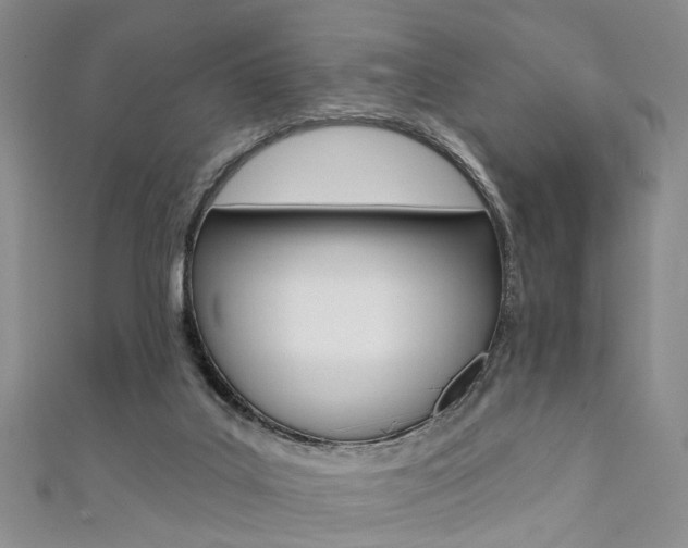 X0000111360019200907101006