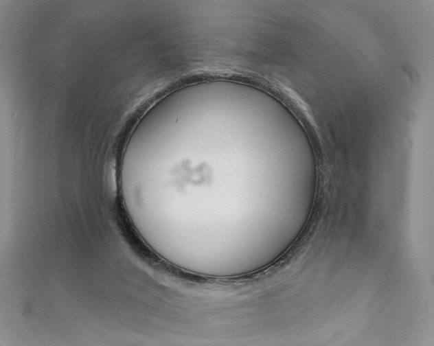 X0000111360020200907101006