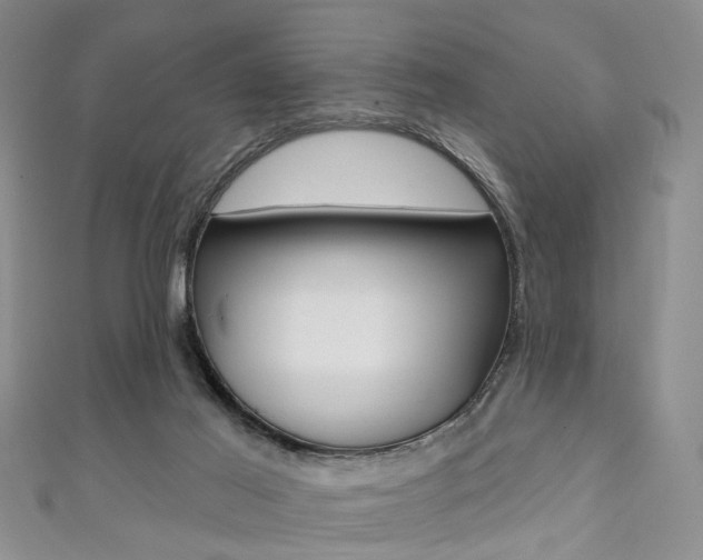 X0000111360021200907101006