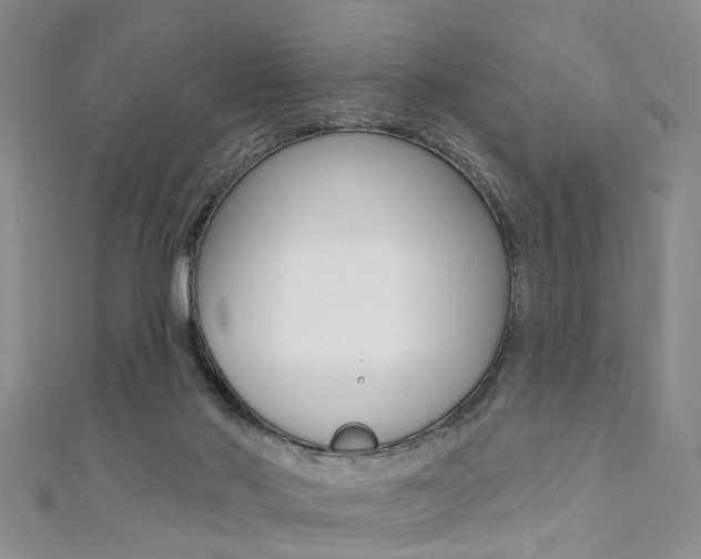 X0000111360022200907101006