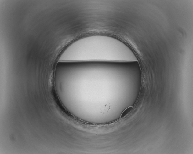 X0000111360023200907101006