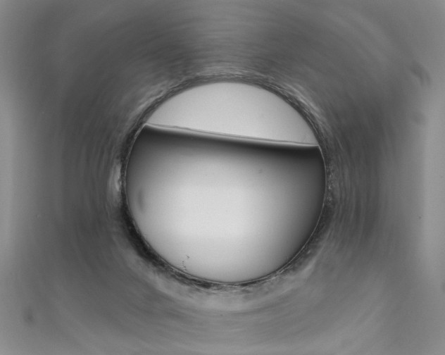 X0000111360024200907101006
