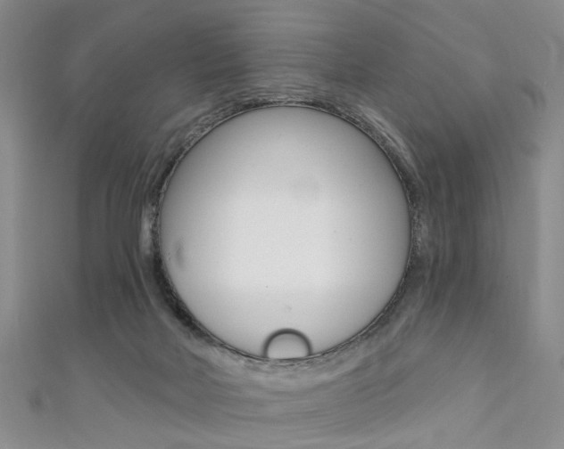 X0000111360026200907101006