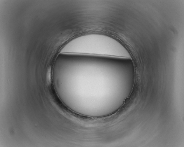 X0000111360028200907101006