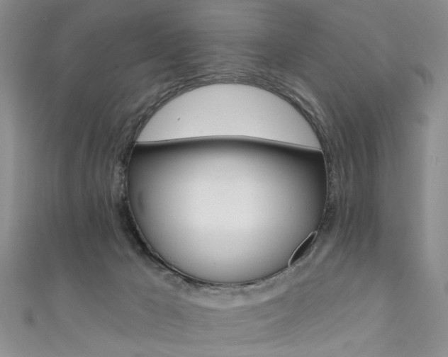 X0000111360029200907101006