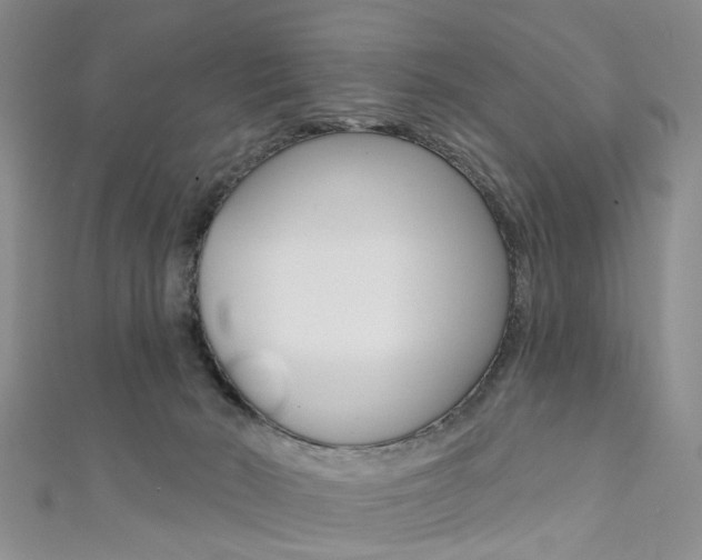 X0000111360030200907101006