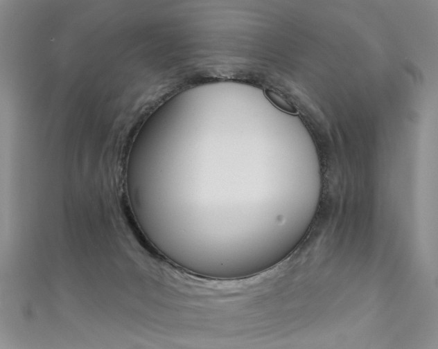 X0000111360031200907101006